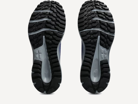 Кроссовки TRAIL SCOUT 3 Ws (RU 40.5 EU 41.5 USw 9.5 СМ 26; indigo blue/light blue)